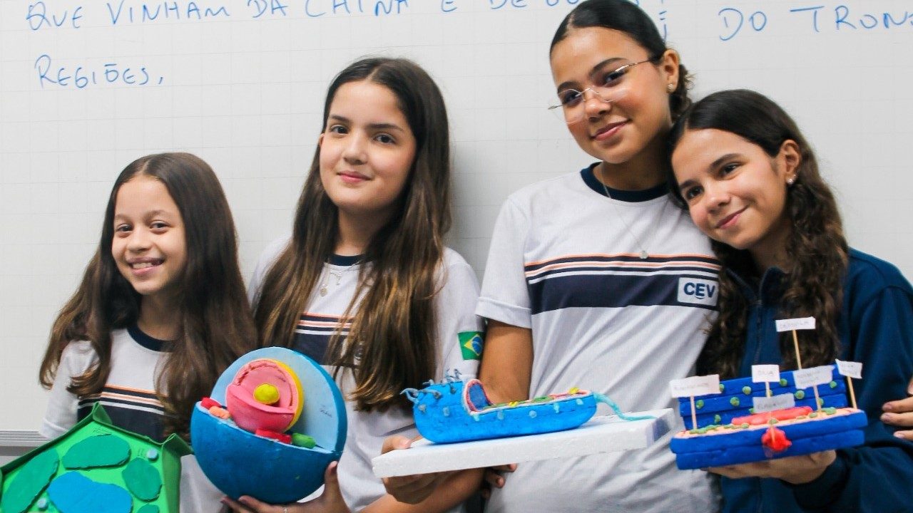 Aprendendo a aprender: o poder da curiosidade e do pensamento crítico