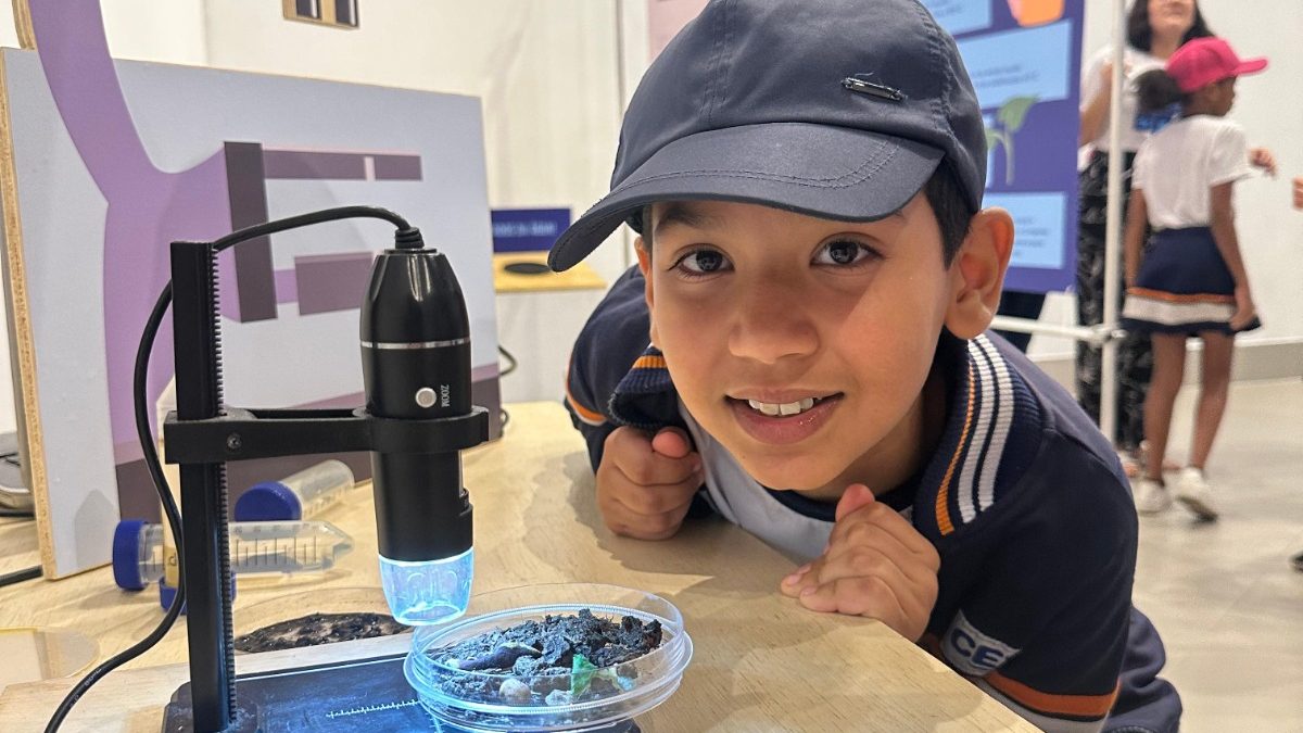 Consciência que flui: estudantes do CEV exploram o universo da água em exposição interativa